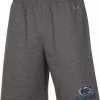 Hot Sale 🌟 Champion Men's Penn State Nittany Lions Blue Training Performance Shorts For Men ⌛ -Cheap Champion Store unnamed file 705