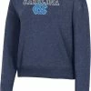 Discount 😍 Champion Men's North Carolina Tar 👠 Heels Grey University Pullover Crew Sweatshirt For 👩 Women 🤩