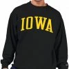 Outlet 🥰 Champion Men's Big & Tall Iowa Hawkeyes Black Reverse Weave Crew Sweatshirt For Men ✨ -Cheap Champion Store unnamed file 767