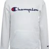 Best Pirce ✔️ Champion Boys' Embroidered Signature Hoodie For Boys' White/blue 🤩 -Cheap Champion Store unnamed file 77