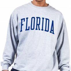 Cheapest ⌛ Champion Men's Big & Tall Florida Gators Grey Reverse Weave Crew Sweatshirt For Men ⌛